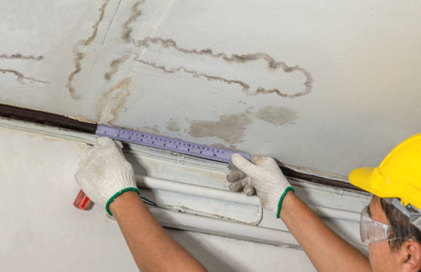 Reliable Water Damage contractor in Ogden, UT by Water Damage Irwin